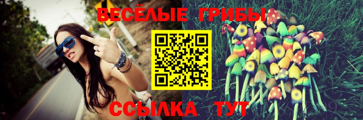 Псилоцибиновые грибы Magic Shrooms Асбест