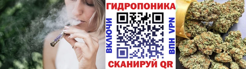 Канабис SATIVA & INDICA  маркетплейс какой сайт  Асбест 